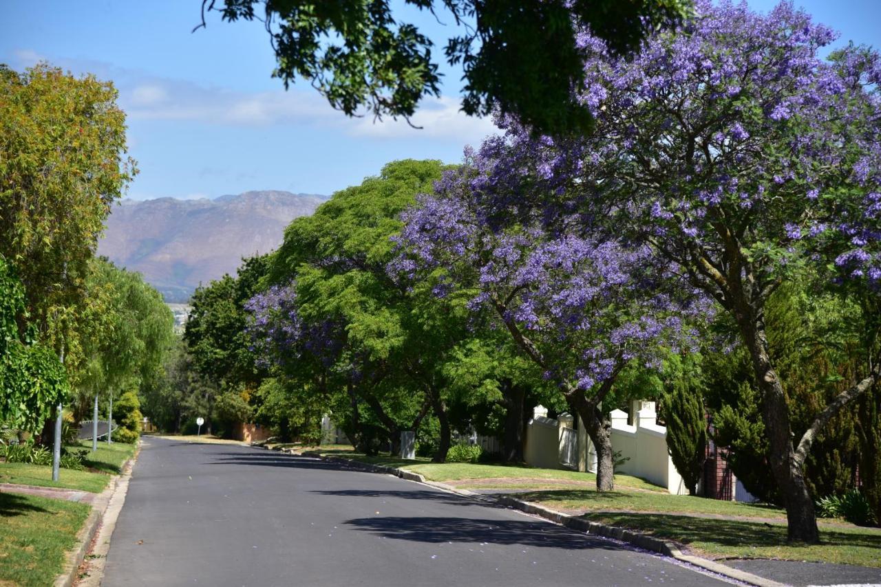 Yebo Boutique Guesthouse Somerset West Exteriör bild